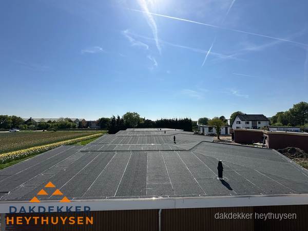 Groot plat dak met bitumen dakbedekking op bedrijfspand in Heythuysen