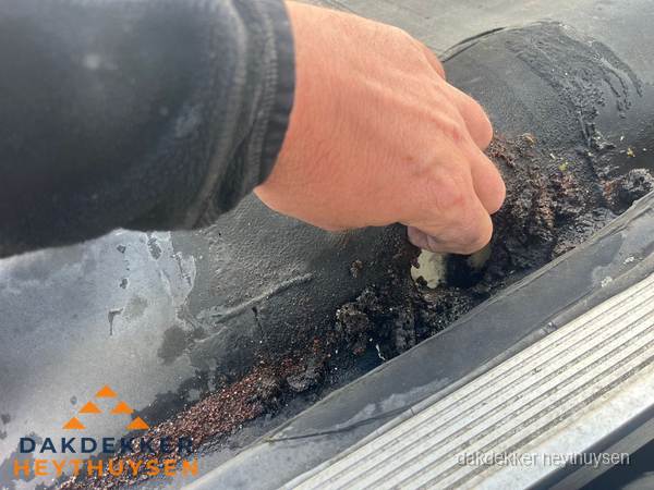 Schade aan bitumen dakbedekking op plat dak in Heythuysen Schade aan bitumen dakbedekking op plat dak in Heythuysen