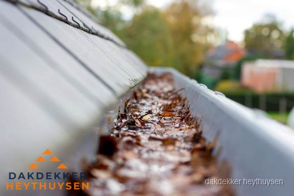 Verstopte dakgoot met bladeren schoonmaken in Heythuysen