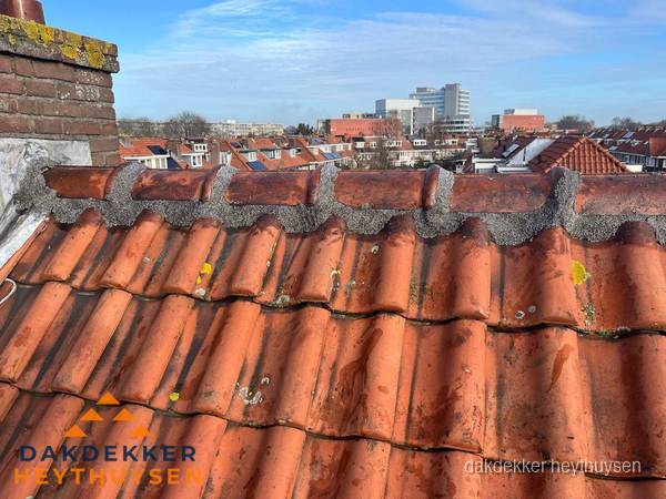Pannendak met nokvorst en schoorsteen, dakrenovatie in Heythuysen Pannendak met nokvorst en schoorsteen, dakrenovatie in Heythuysen