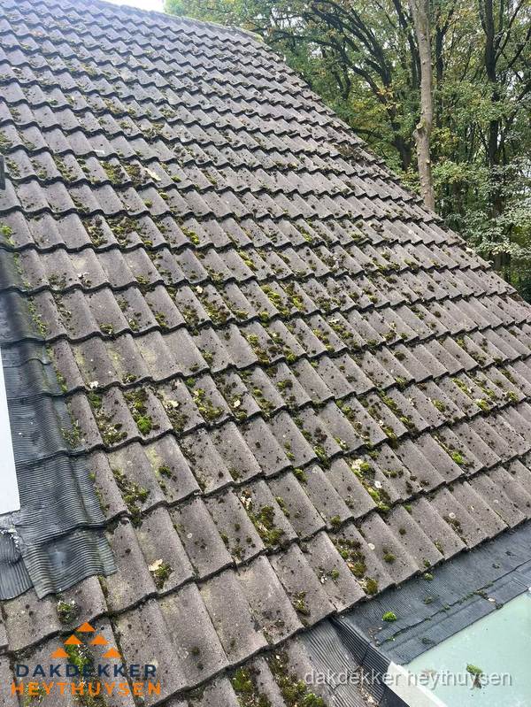 Verweerd pannendak met mosgroei dat renovatie nodig heeft in Heythuysen Verweerd pannendak met mosgroei dat renovatie nodig heeft in Heythuysen
