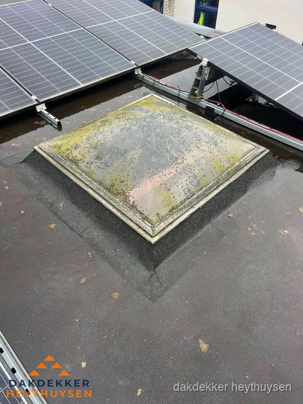 Vervuilde lichtkoepel op plat dak met zonnepanelen in Heythuysen Vervuilde lichtkoepel op plat dak met zonnepanelen in Heythuysen