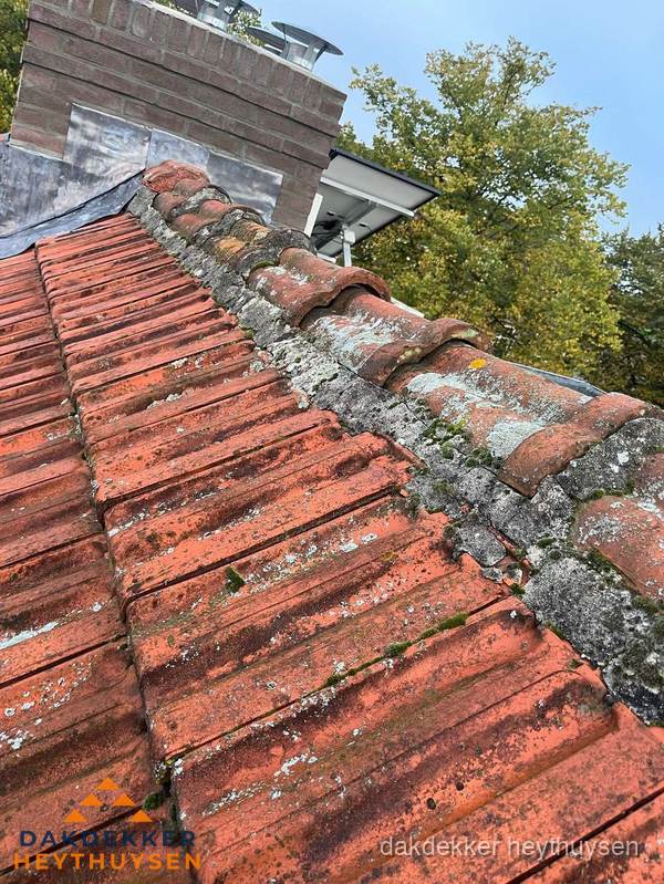 Verweerd hellend dak met mosgroei op nokvorst in Heythuysen Verweerd hellend dak met mosgroei op nokvorst in Heythuysen